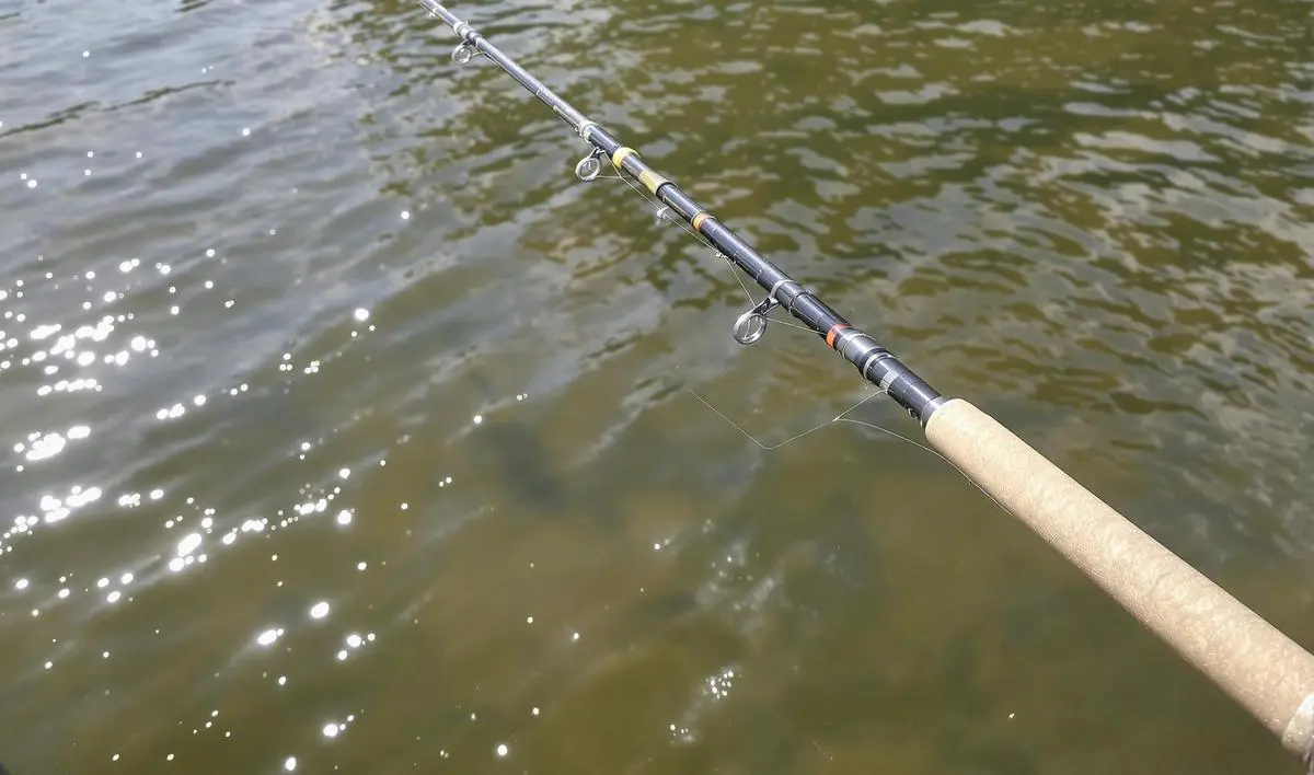 A Escolha da Vara de Fly Fishing Adequada