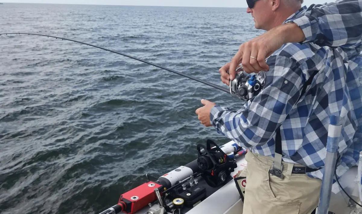 Carretilhas Elétricas de Perfil Alto: Potência e Resistência