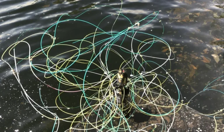 Como evitar que a linha de pesca enrole