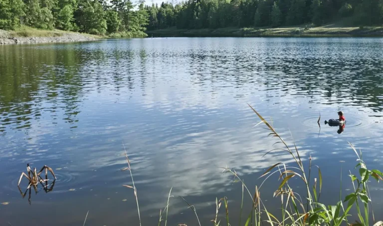 Como identificar os melhores pontos de pesca em lagos