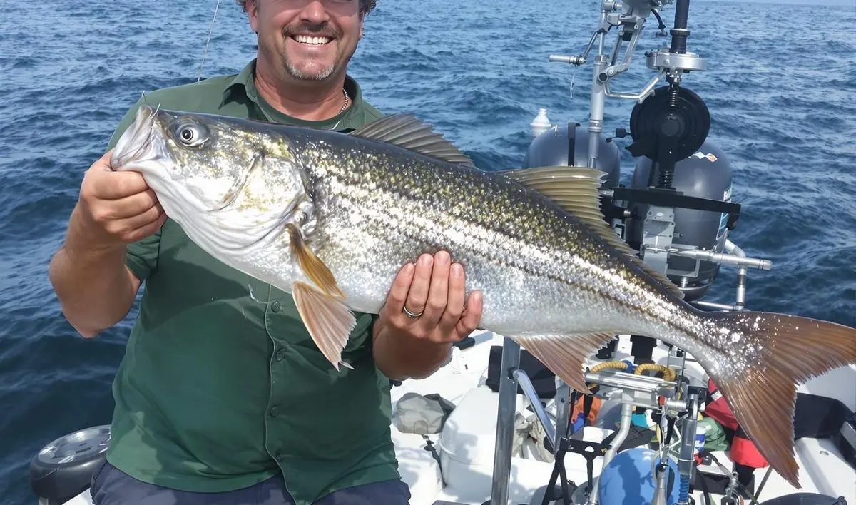 Encontrando um Guia Local Confiável: Dicas e Recomendações