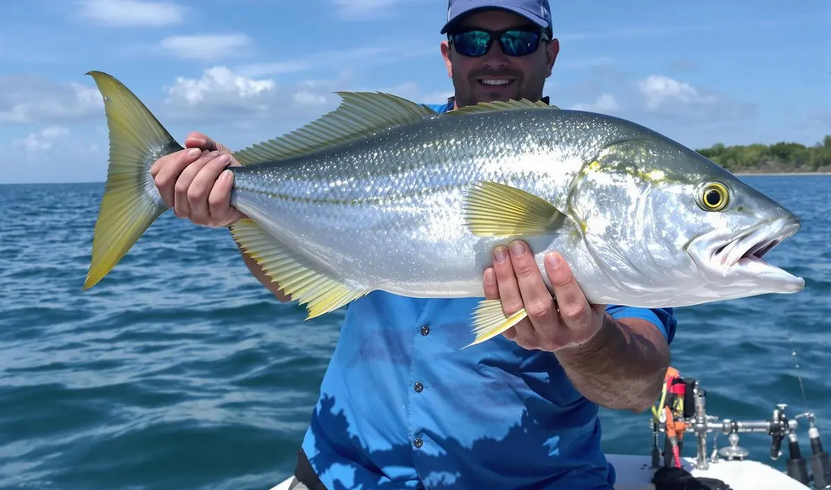 Equipamentos Ideais para a Pesca de Piapara