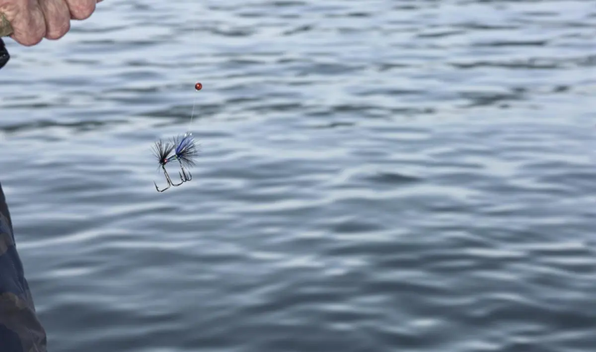 Escolhendo a linha ideal para Jigging