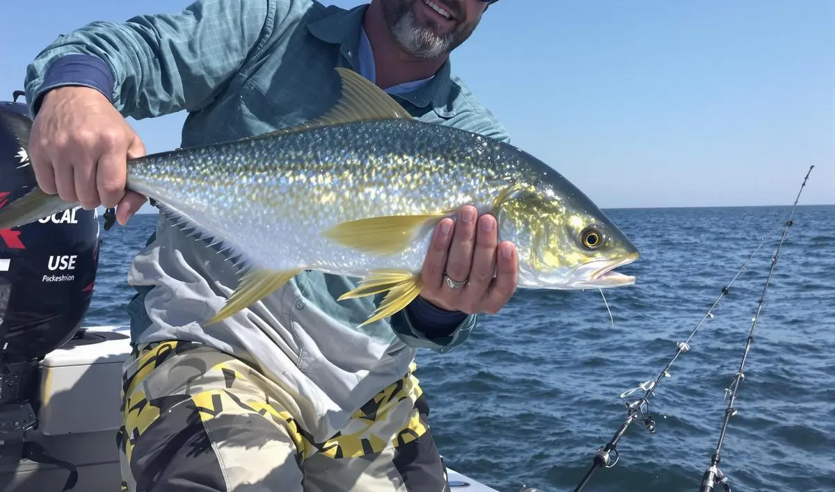 Estratégias de Pesca e Localização do Dourado