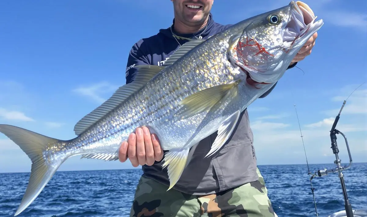 Horário e Condições Climáticas Favoráveis