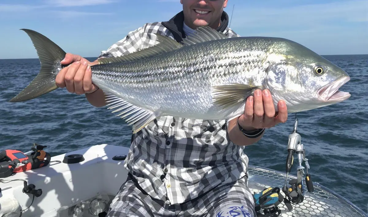 Linhas e Anzóis Adequados para Pirarara