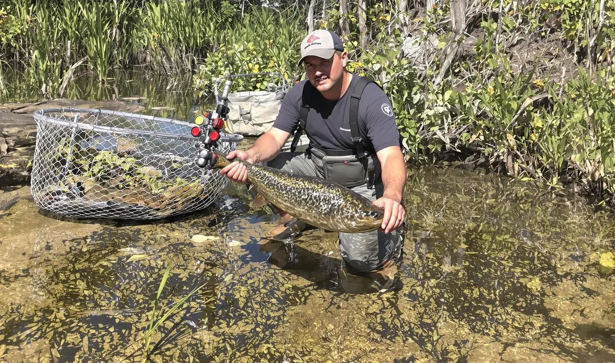 O Futuro da Pesca de Pirarucu: Investimento e Inovação