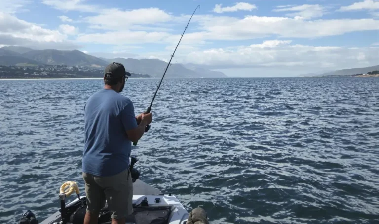 Pesca com camarão vivo: dicas e truques