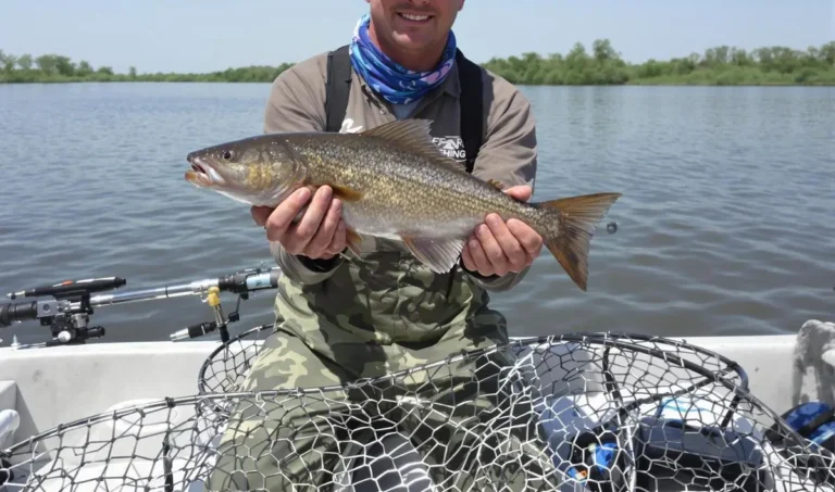 Pesca de pacu em grandes rios com isca de milho