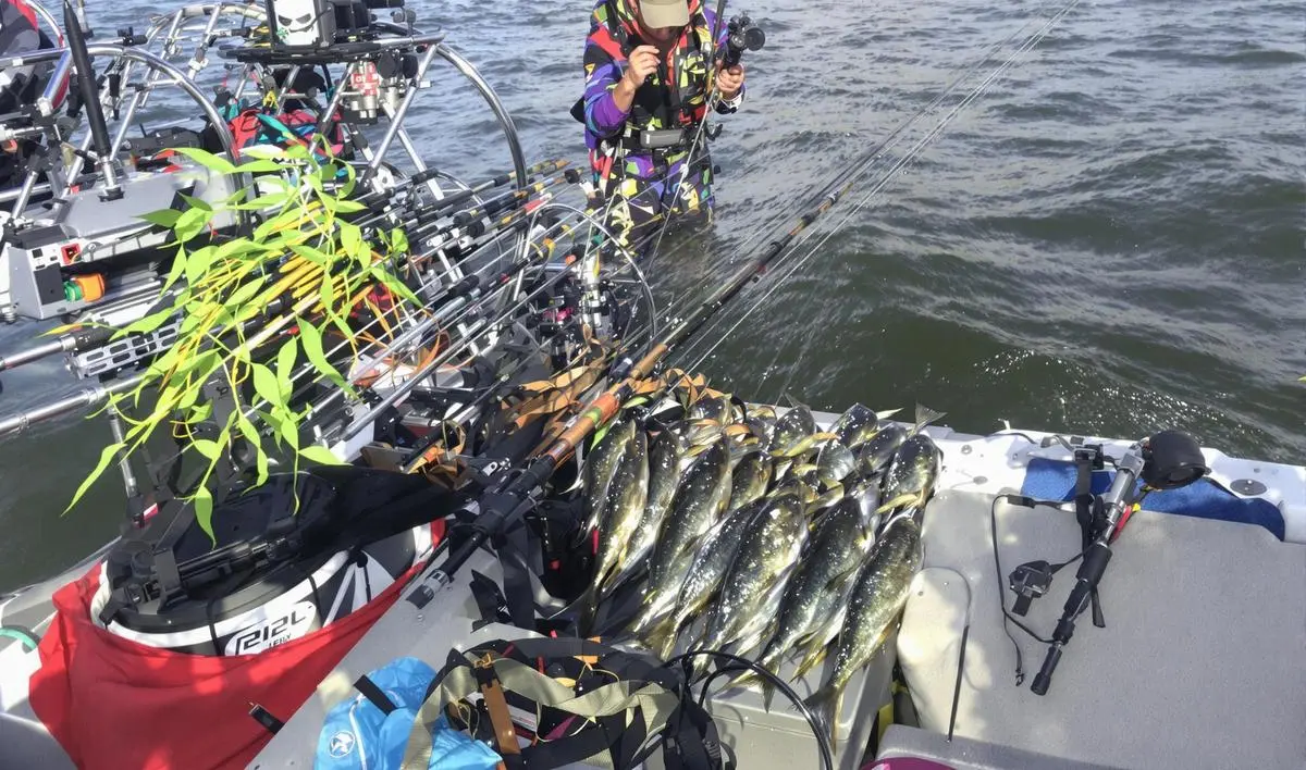 Recuperação da Linha: Velocidade e Ritmo