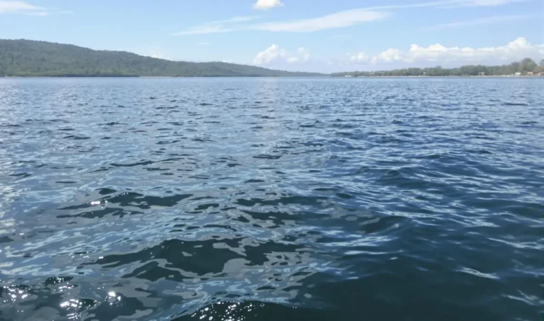 Técnicas avançadas de fly fishing para peixes de água salgada