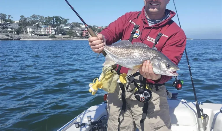Técnicas de pesca em águas rápidas
