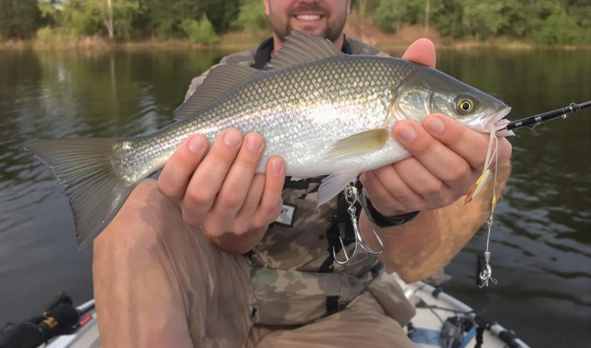 Tipos de Iscas Artificiais para Pesca de Peixes Pequenos