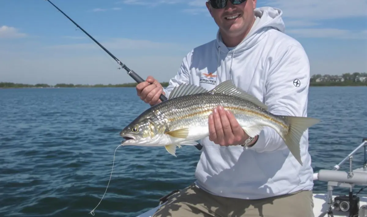 Tipos de Iscas para Peixes de Água Salgada