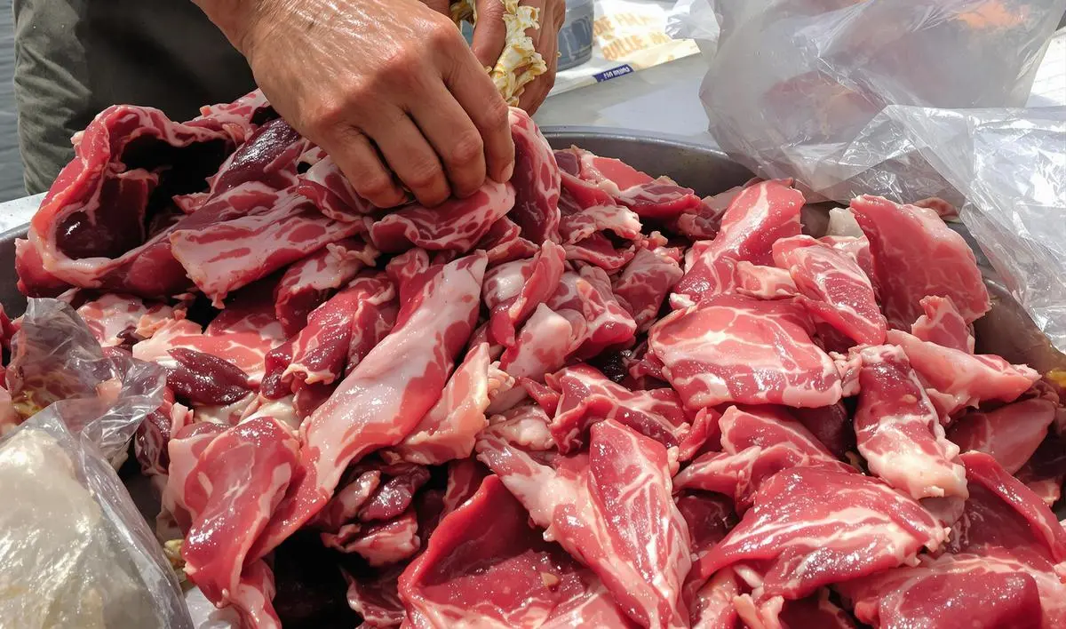 A Arte de Armazenar e Conservar as Iscas