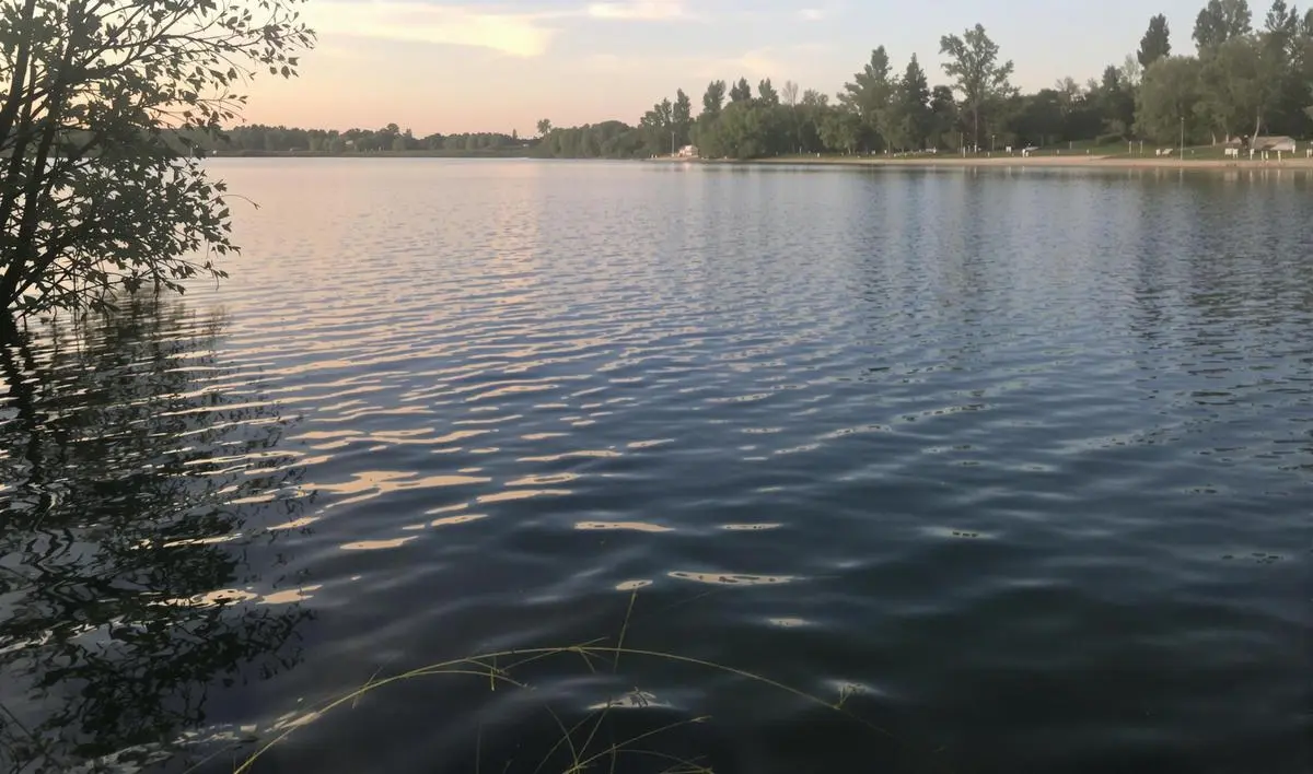 A Importância da Apresentação da Isca