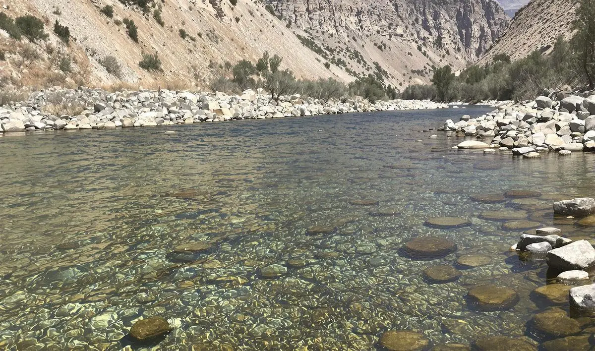 A Importância da Conservação do Meio Ambiente