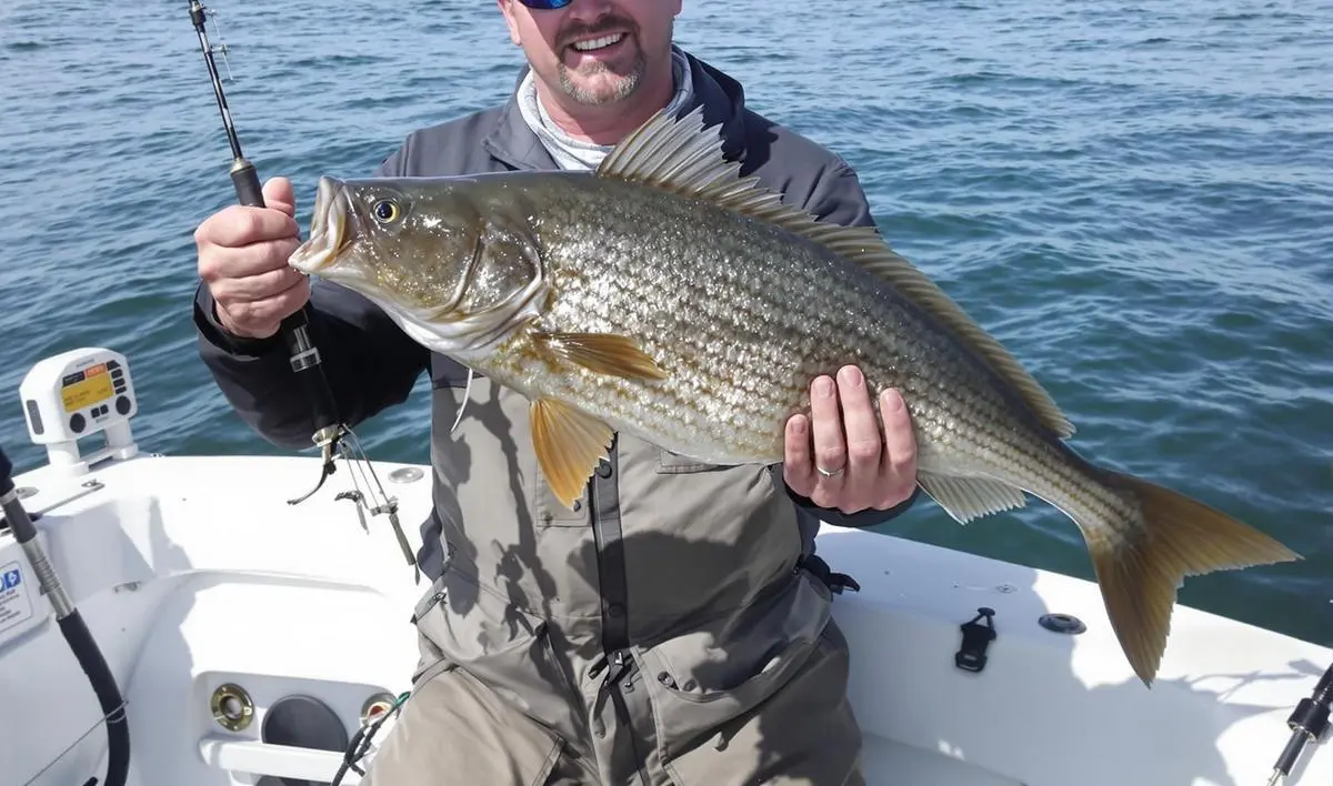 A Importância da Paciência na Pesca de Peixes Redondos