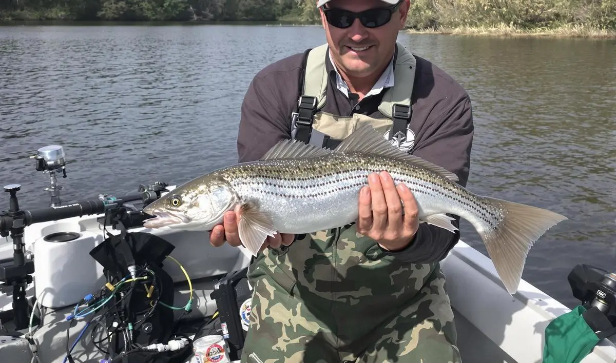 A Importância do Registro e Monitoramento