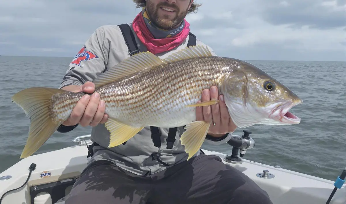 A Influência da Maré e do Clima na Pesca de Robalo
