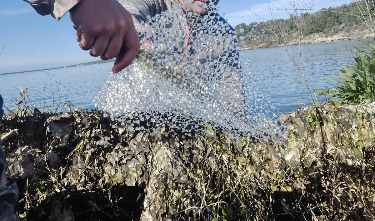 A Isca: Peso e Aerodinâmica