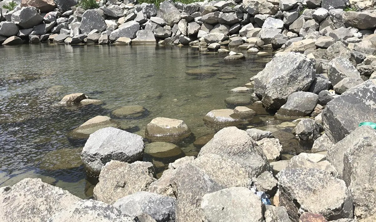 A Linha Ideal: Resistência e Sensibilidade