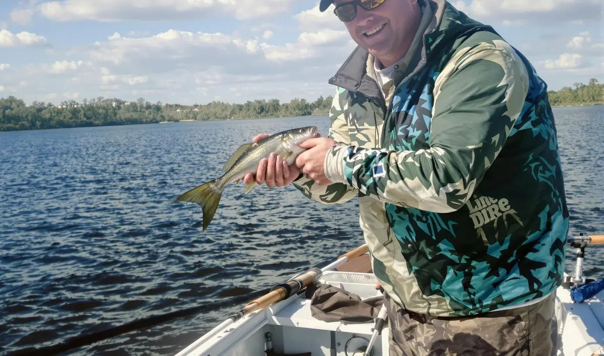 A Linha: Sua Aliada na Precisão