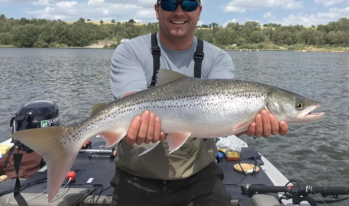 A Melhor Época e Horário para Pescar Pintado