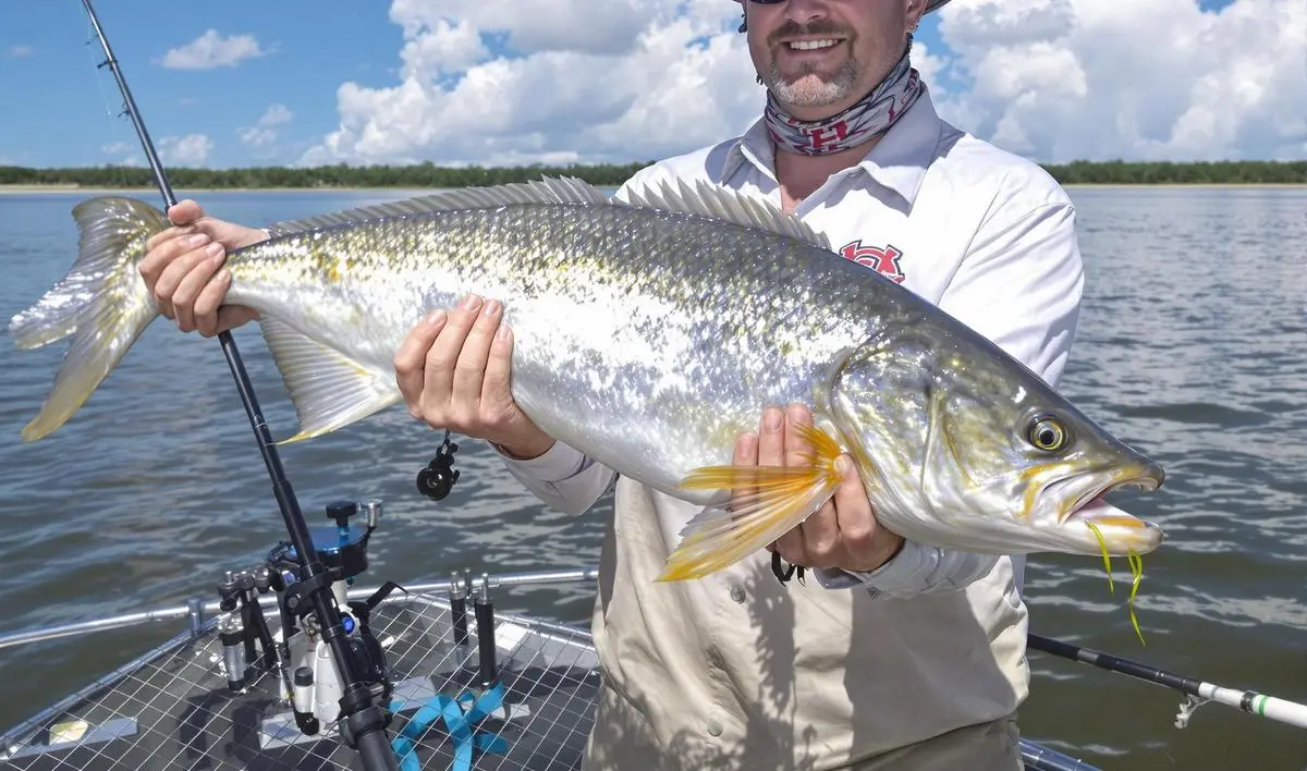A Vara de Pesca: Um Parceiro Essencial na Pesca de Pacu