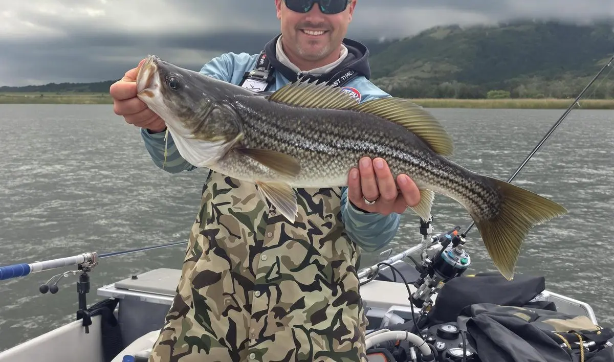 Adaptando Técnicas de Pesca à Comportamento do Peixe