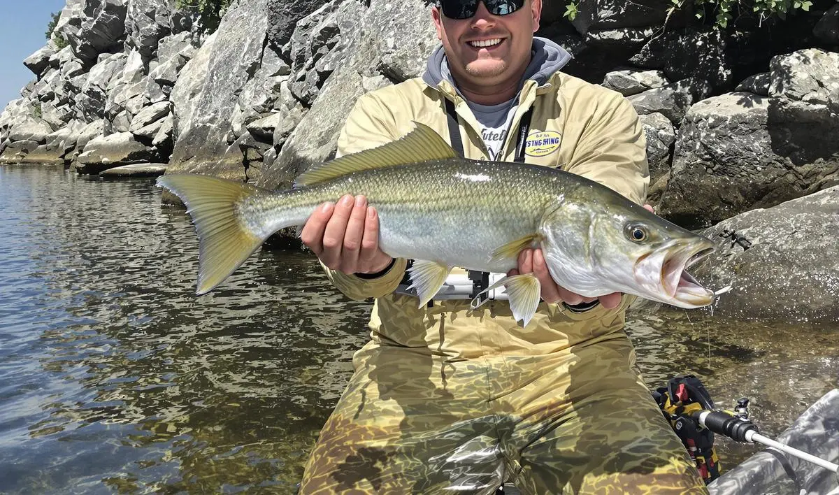 Aproveitando as sombras e a estrutura