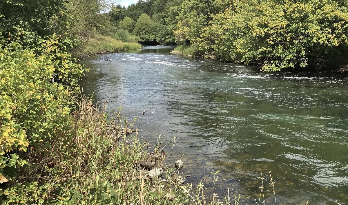 Como escolher a linha ideal para pesca em grandes rios
