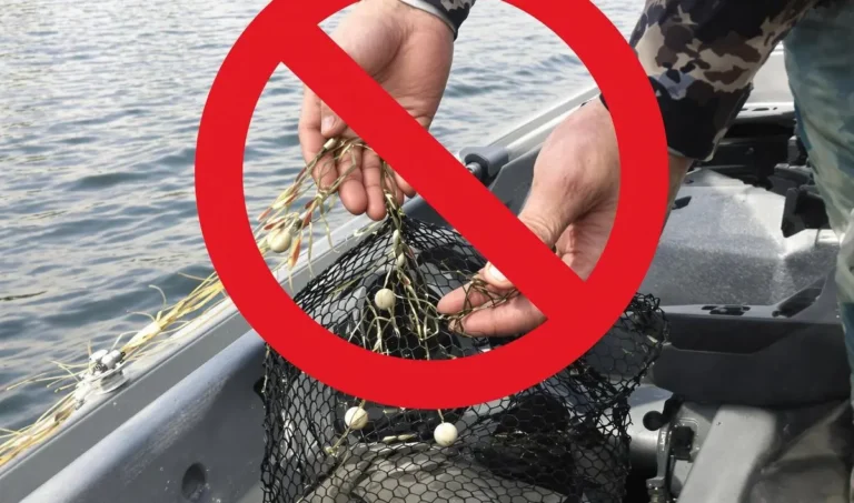 Como evitar a perda de iscas durante o arremesso