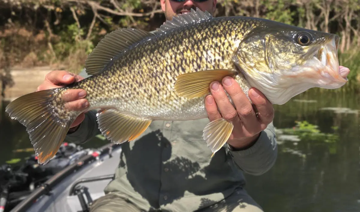 Como Interpretar os Sinais da Natureza