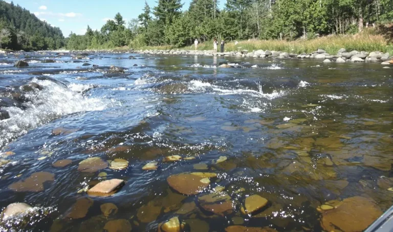 Como pescar em áreas de corredeiras