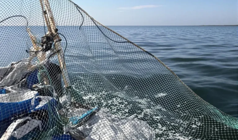 Como utilizar redes de pesca sem danificar o ambiente