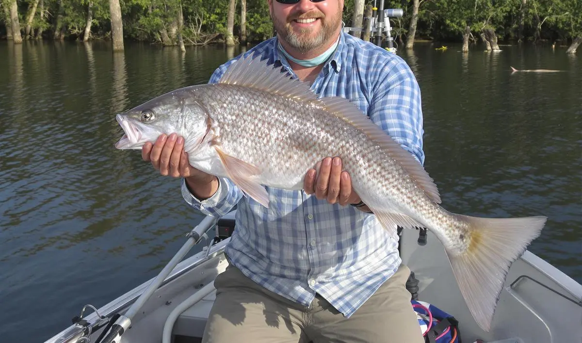 Cuidados com o Meio Ambiente