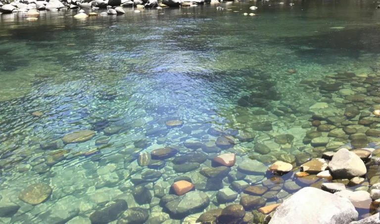 Dicas para pescar em rios de águas cristalinas