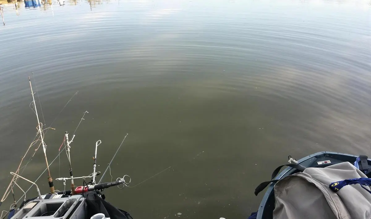 Equipamentos Essenciais para o seu Acampamento de Pesca