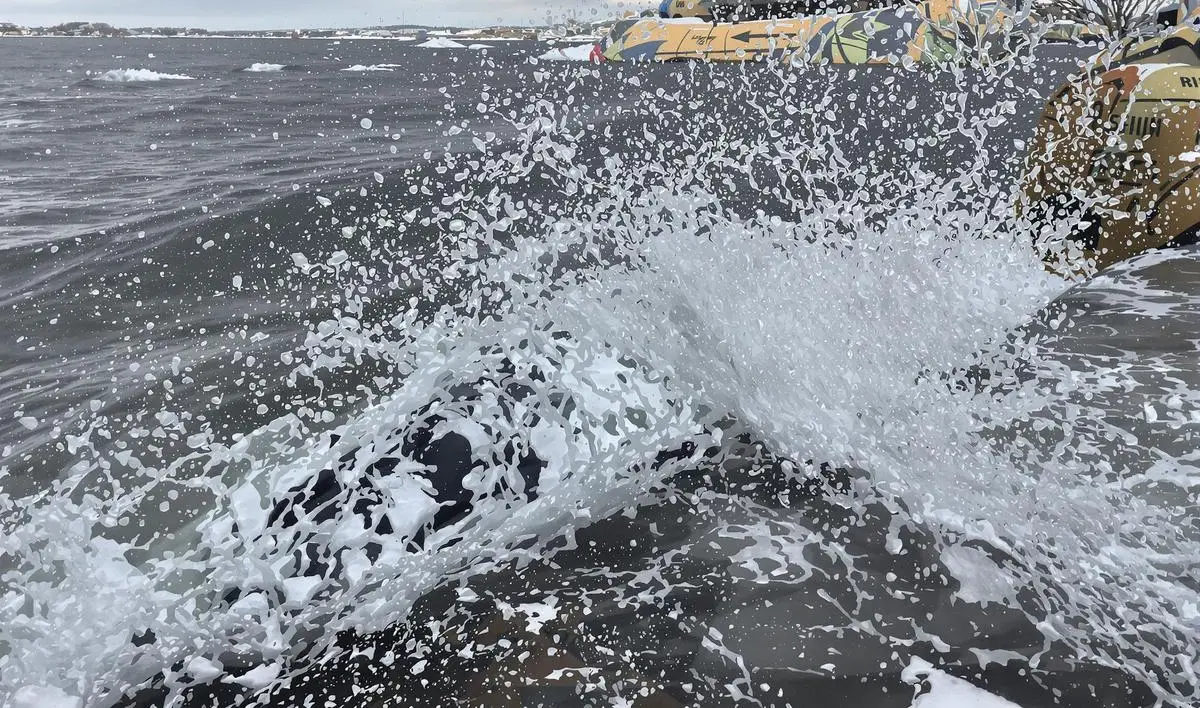 Equipamentos para Pescaria em Dias de Tempestades