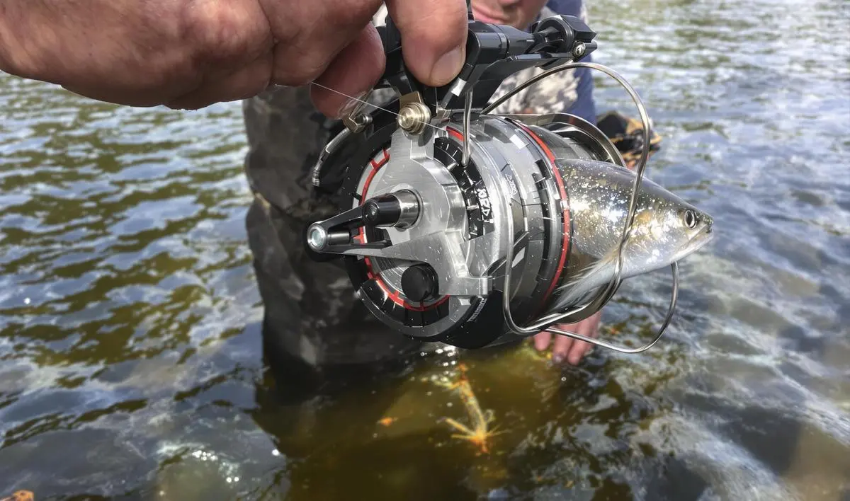 Escolha a Carretilha Ideal para a Pesca de Piau