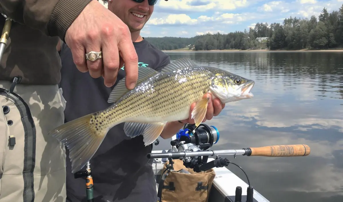 Escolha da Carretilha: Um Equipamento Crucial para Grandes Lagos
