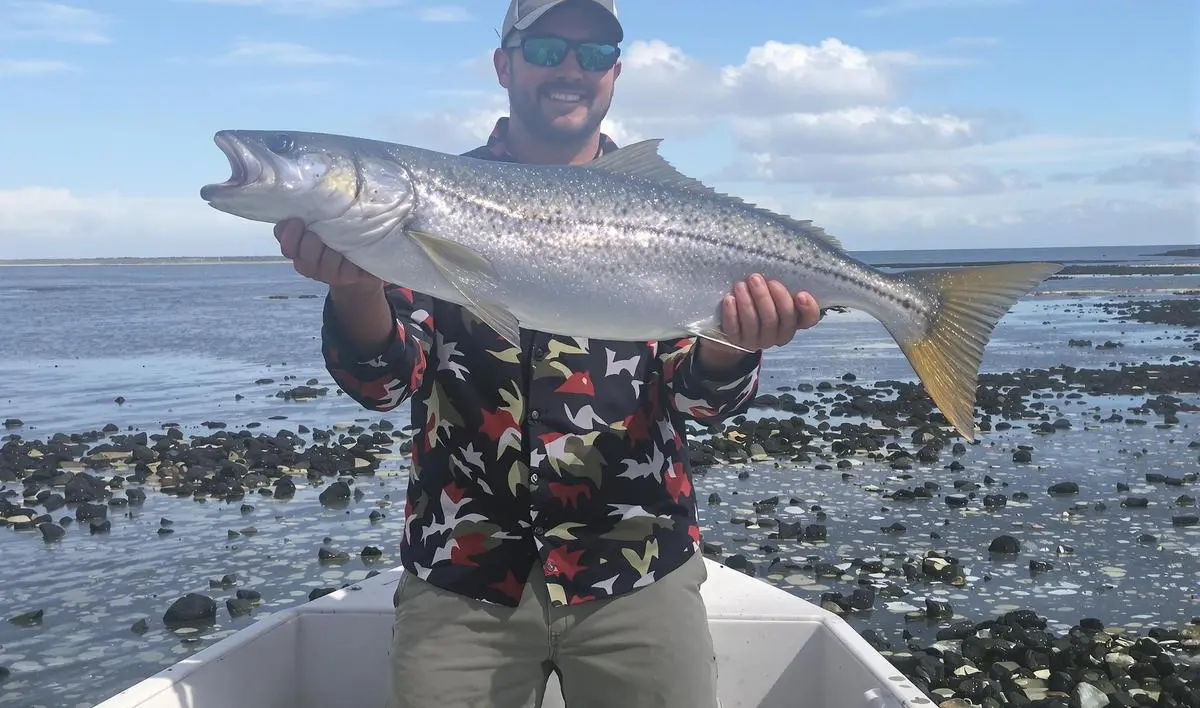 Explorando Diferentes Locais de Pesca na Maré Baixa