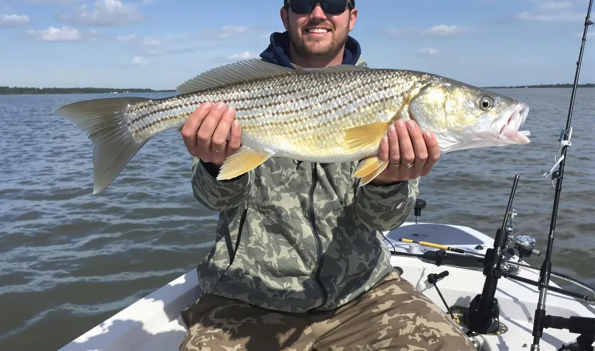 Identificação dos melhores pontos de pesca no estuário