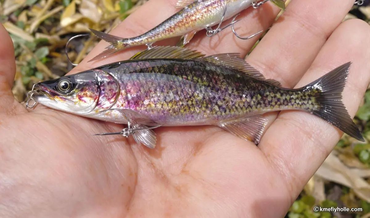 Iscas Artificiais e os Anzóis Correspondentes