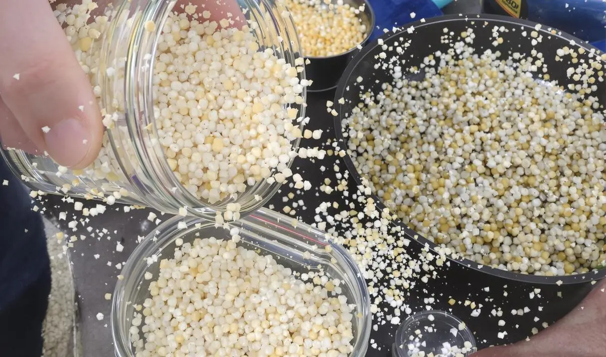 Iscas Caseiras com Fubá e Farinha de Milho: Uma Receita Tradicional