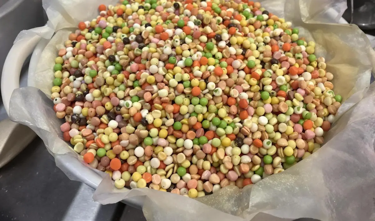 Iscas Caseiras de Ração para Peixes: Uma Opção Econômica