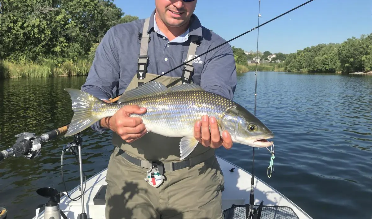 Linhas e Anzóis Corretos