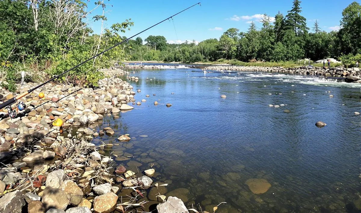 Linhas e Anzóis para a Pesca de Tambaqui