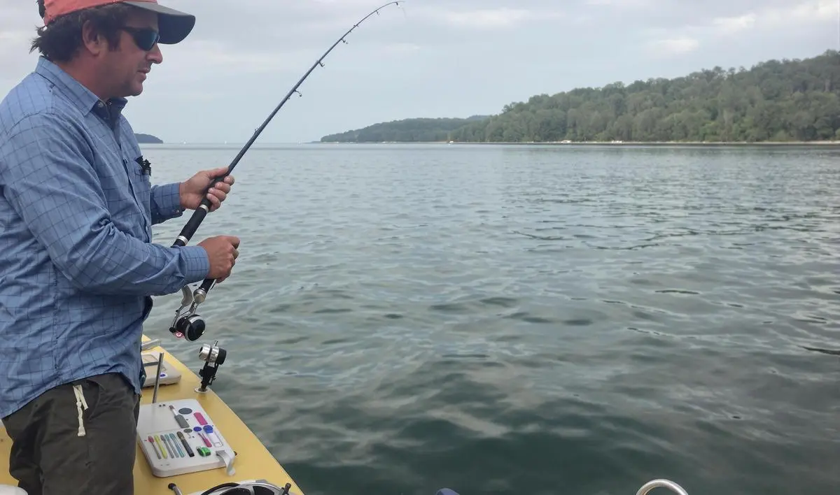 Localização: Encontrando os Melhores Pontos de Pesca de Traíra